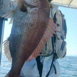 シースナイパー海龍 釣果