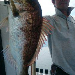 シースナイパー海龍 釣果