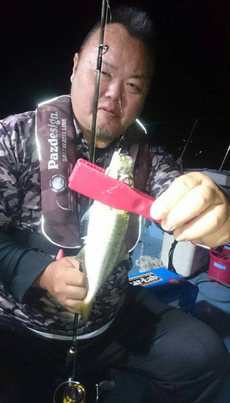 シースナイパー海龍 釣果