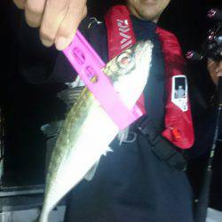 シースナイパー海龍 釣果