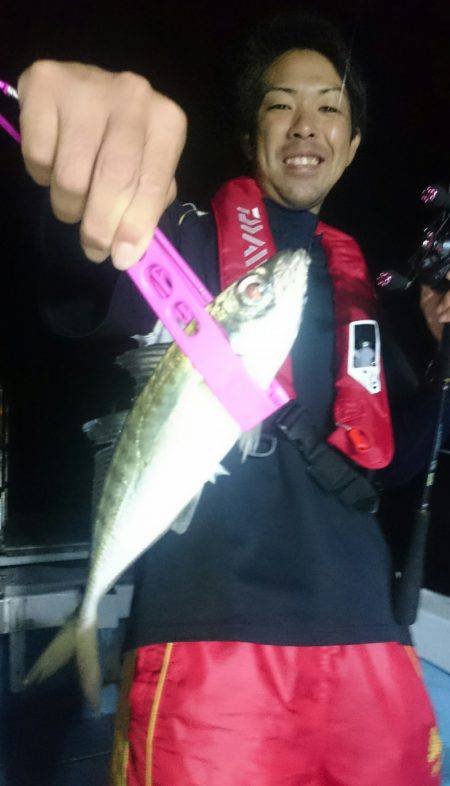 シースナイパー海龍 釣果