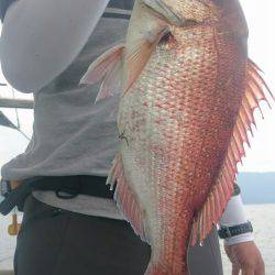 シースナイパー海龍 釣果