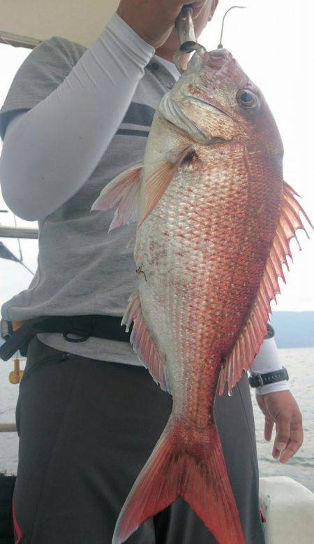 シースナイパー海龍 釣果