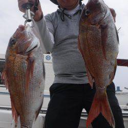 JDI Racing シールズマリンレジャー 釣果