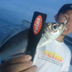 シースナイパー海龍 釣果