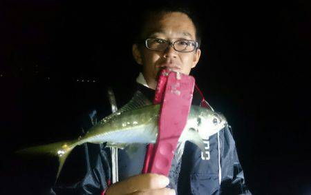 シースナイパー海龍 釣果