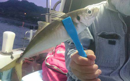 シースナイパー海龍 釣果