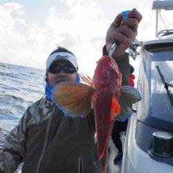 まるいち丸 ZERO-1 釣果