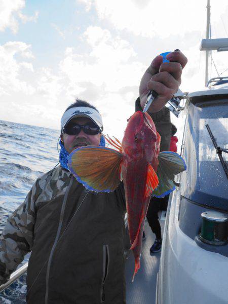 まるいち丸 ZERO-1 釣果