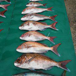 まるいち丸 ZERO-1 釣果