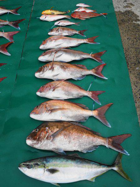 まるいち丸 ZERO-1 釣果