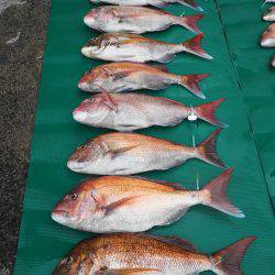 まるいち丸 ZERO-1 釣果