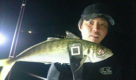 シースナイパー海龍 釣果