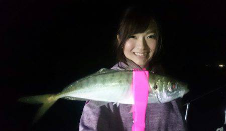 シースナイパー海龍 釣果