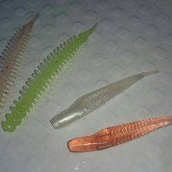 シースナイパー海龍 釣果