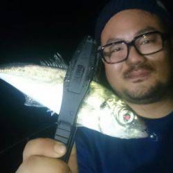 シースナイパー海龍 釣果