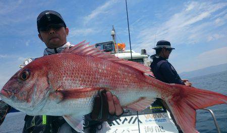 シースナイパー海龍 釣果