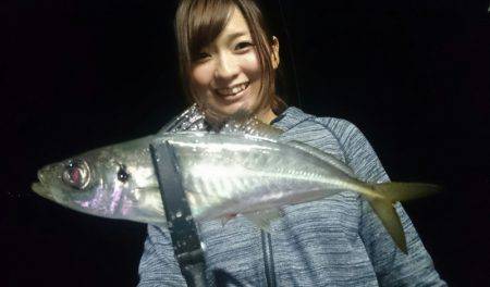 シースナイパー海龍 釣果