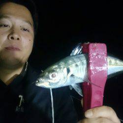 シースナイパー海龍 釣果