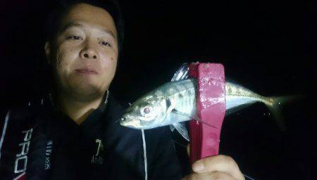 シースナイパー海龍 釣果