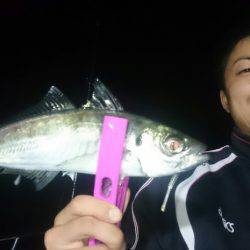 シースナイパー海龍 釣果