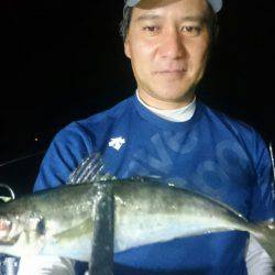 シースナイパー海龍 釣果