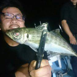 シースナイパー海龍 釣果