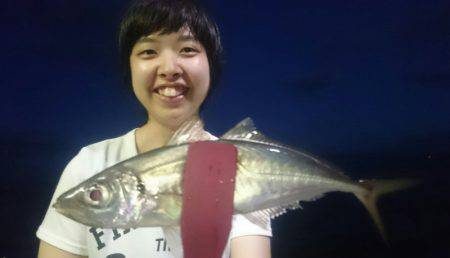 シースナイパー海龍 釣果