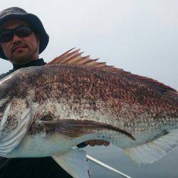 シースナイパー海龍 釣果