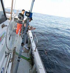 第二清洋丸 釣果