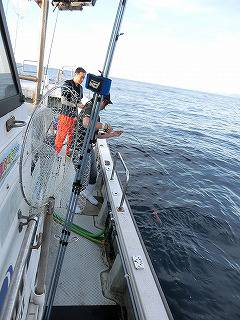 第二清洋丸 釣果