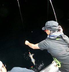 第二清洋丸 釣果