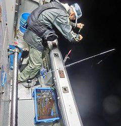 第二清洋丸 釣果