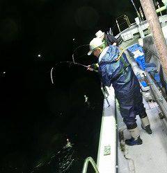 第二清洋丸 釣果