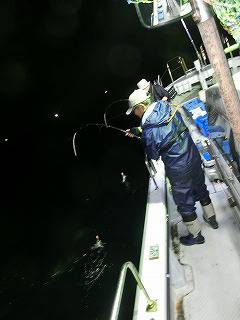 第二清洋丸 釣果