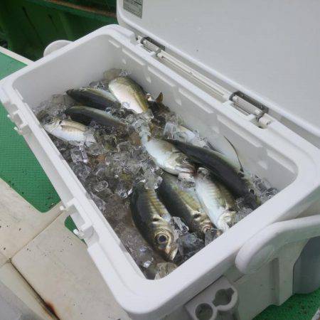 もと明丸 釣果
