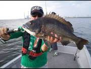 NAGASHIMA MARU(永島丸) 釣果