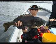 NAGASHIMA MARU(永島丸) 釣果