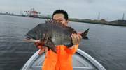 ＮＡＧＡＳＨＩＭA ＭＡＲＵ（永島丸） 釣果