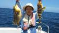 釣船 キティ 釣果