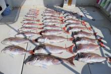 KIM Fishing Guide Ser…