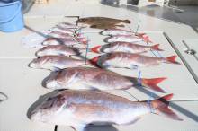 KIM Fishing Guide Ser…