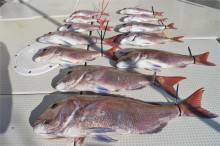 KIM Fishing Guide Ser…