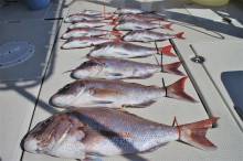 KIM Fishing Guide Ser…