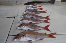 KIM Fishing Guide Ser…