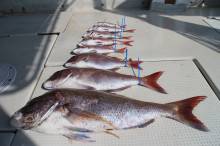 KIM Fishing Guide Ser…