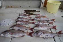 KIM Fishing Guide Ser…