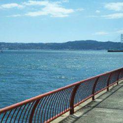 家族みんなで釣りに行こう！【ファミリーフィッシング向けカンパリ釣果まとめ】