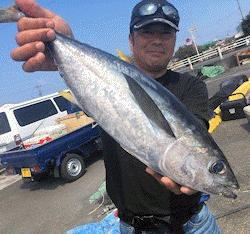 橋安丸 釣果