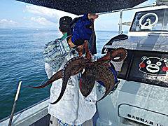 ふみ丸 釣果